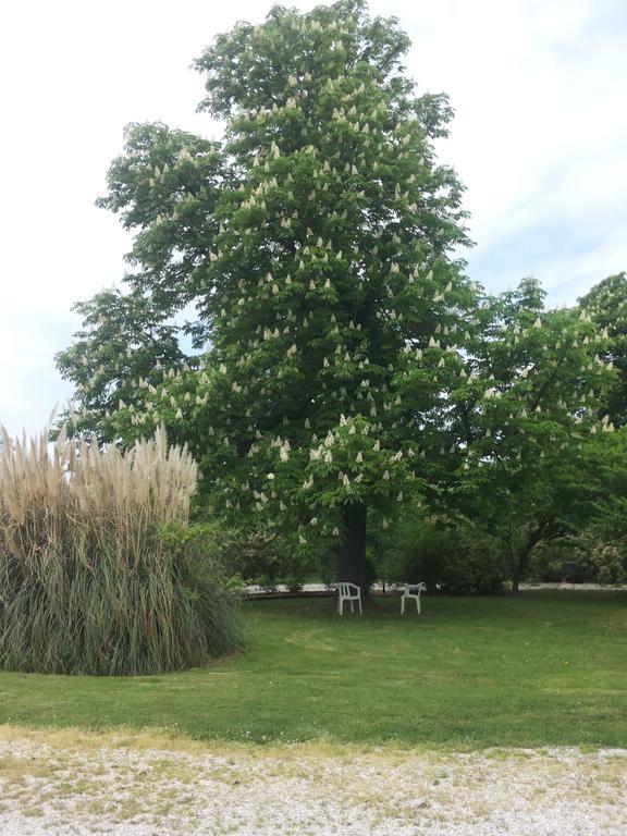 Agriturismo Al Navile Malalbergo Zewnętrze zdjęcie