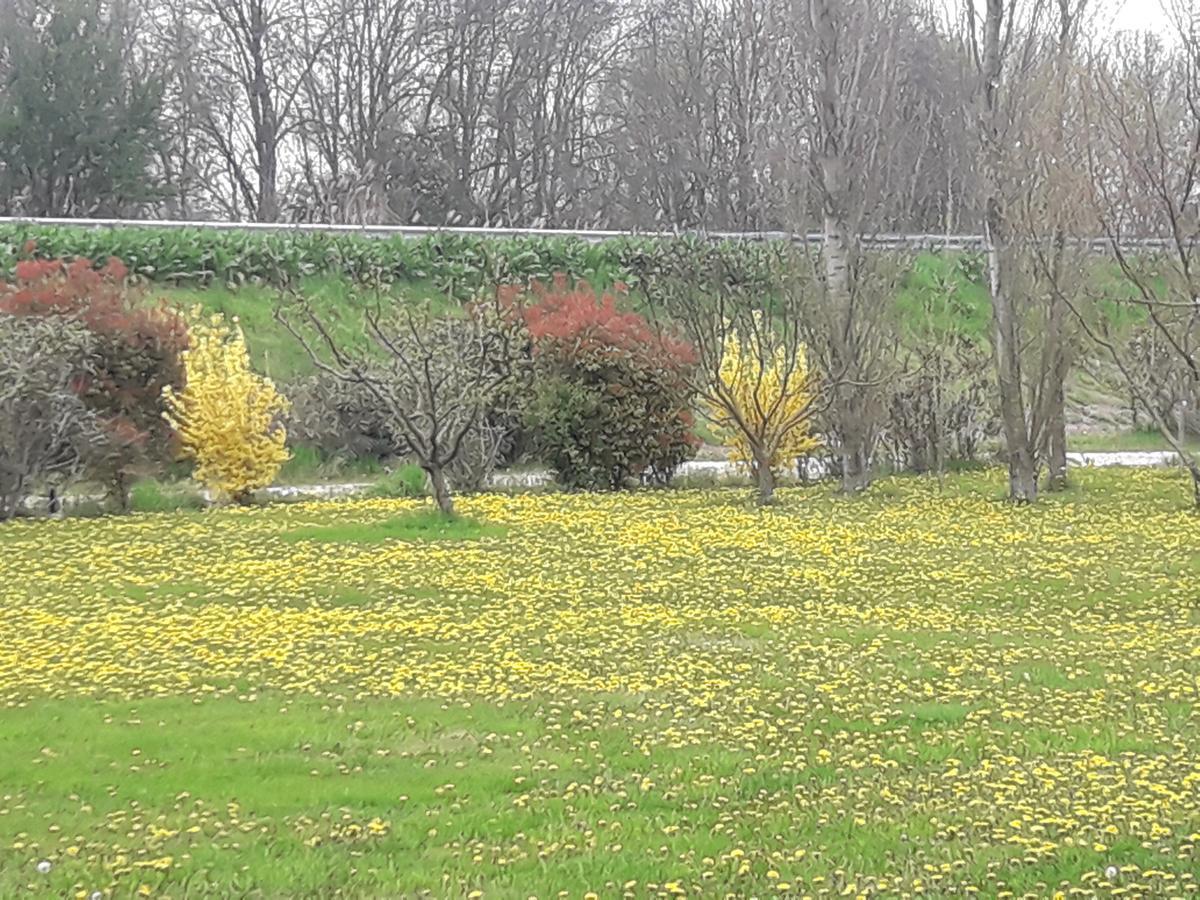 Agriturismo Al Navile Malalbergo Zewnętrze zdjęcie